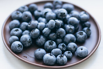 Blueberries on the plate. Blueberries in ceramic bowl on white background. Antioxidant berries. Raw food. Sweet ripe berries. Healthy dieting. Summer harvest.