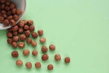 Hazelnut on white ceramic bowl on green background. Healthy eating diet, nutrition, vegan concept. Protein organic food. Dry snack. National nut day. Copy space for text