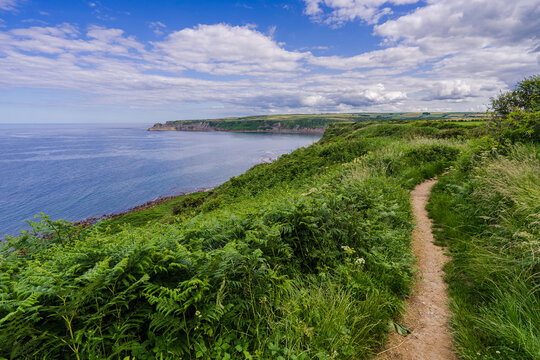 The Cleveland Way long distance footpath. View from the path between Port Mulgrave and Runswick Bay (not visible) the headland in the distance is Kettleness.