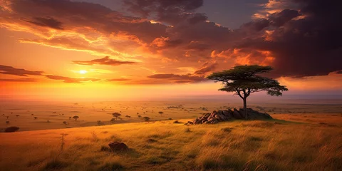 Foto op Aluminium African savannah view at sunset. Generative AI © Farnaces
