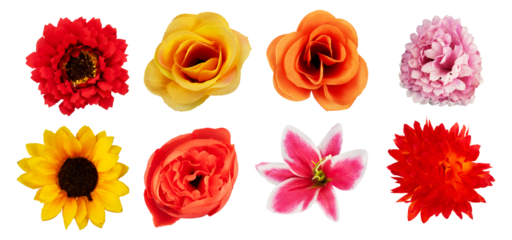 Collection of summer flower isolated