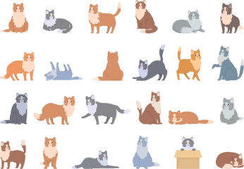 Norwegian Forest Cat icons set cartoon vector. Domestic animal. Pet hair