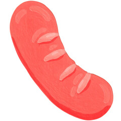 sausage protein food, cartoon painting