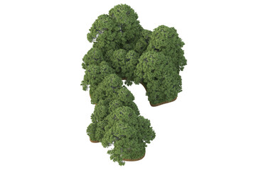 Tropical landscape isolated on transparent background. 3d rendering - illustration