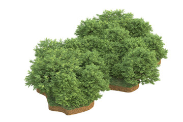 Obraz premium Tropical forest isolated on transparent background. 3d rendering - illustration