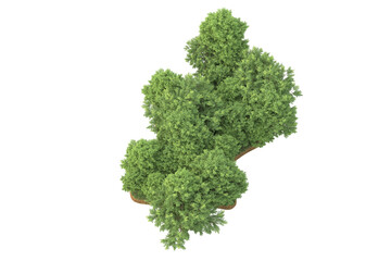 Fototapeta premium Tropical forest isolated on transparent background. 3d rendering - illustration