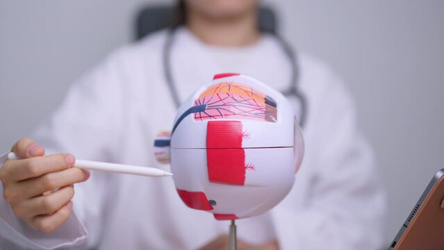 Doctor with human Eye anatomy model with magnifying glass. Eye disease, Refractive Errors, Age Related Macular Degeneration, Cataract, Diabetic Retinopathy, Glaucoma, Amblyopia, Strabismus and Health