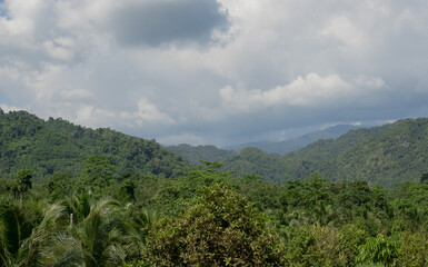 landscape of high mountains covered with trees. blue sky is full of clouds.