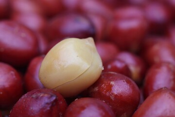Macro of Oil Fried Peanut Seed Isolated on Peanut Seed Heap