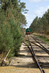 Fototapeta premium Train touristique des Landes; Eco musée de Marquéze; Parc naturel des Landes de Gascogne; Région Aquitaine; Sabres; 40, France