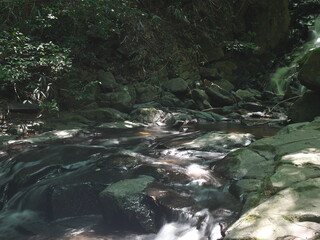 小さな渓谷を流れる清流
