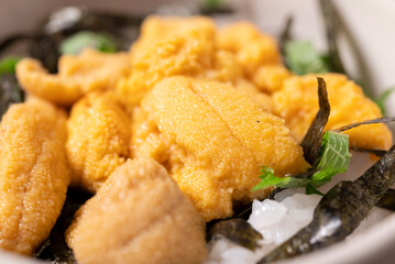 日本の食卓,ウニ丼,鮭ウニ丼,家庭料理