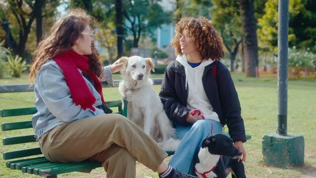 Two cheerful women sitting on bench in the park, smiling and having conversation, petting their dogs on a walk outdoors