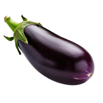 eggplant isolated