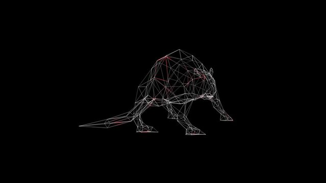 3D Rat scan on black bg. Scientific research concept. Laboratory tests. Laboratory mouse. For title, text, presentation. 3d animation 60 FPS