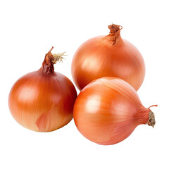 onions on a white background