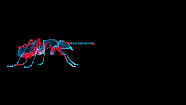 3D Insect scan on black bg with copy space. Control and killing of Insect. Pest Control Service. Biological hazard. Scientific research. For title, text, presentation. 3d animation 60 FPS