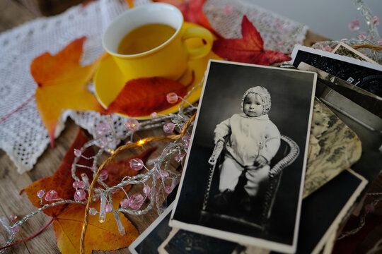Autumn composition on rustic wooden table in garden with vintage photos, hot tea in mug, fallen yellow, orange leaves and berries, concept happy Thanksgiving, family tree, genealogy, cozy autumn mood