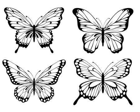 Vector hand drawn ink illustration. Set tropical butterflies. Objects of nature. Entomology. Sketch