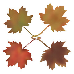 Fototapeta premium Autumn leaves