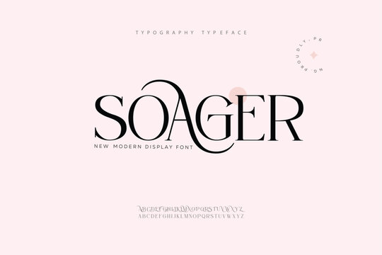 Elegant Font Uppercase Lowercase and Number. Classic Lettering Minimal Fashion Designs. Classic Lettering Minimal Fashion Designs. Typography modern serif fonts regular decorative vintage concept.