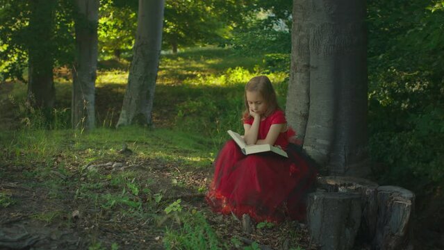 Little girl in red dress reading a book. Sitting in the forest. Sunset light. Concept of reading. Magical world of books
