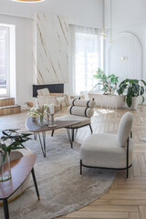 spacious open-plan apartment with stylish modern bright design, dressing area, bedroom, living room and bathroom on a sunny day