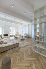 spacious open-plan apartment with stylish modern bright design, dressing area, bedroom, living room and bathroom on a sunny day