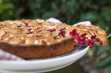 Cherry pie on a plate in the garden