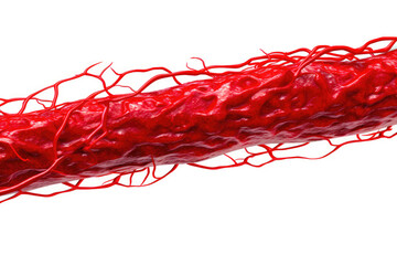 Vivid Vascular Network Isolated on White. Generative AI