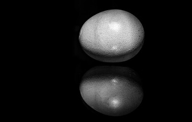 Egg