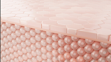 3d skin layer of the skin cell, skin cell microscope. 3d rendering.