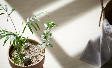 This room has a calm atmosphere with natural light.
There are clay pots, glass bottles, coffee and various objects on the table.

