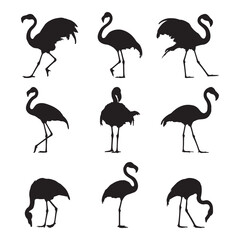Obraz premium Silhouette flamingo collection - vector illustration