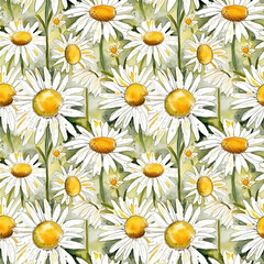 Seamless pattern watercolor illustration background of botanic garden, field chamomile flowers. AI