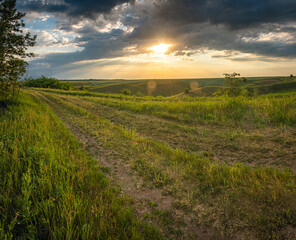 Summer evening landscape