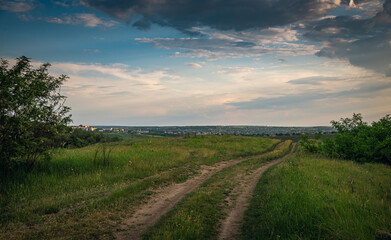 Summer evening landscape