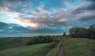 Naklejka premium Summer evening landscape