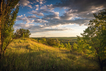 Naklejka premium Spring evening landscape