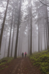 Two girls walk through a dark forest shrouded in a desolate grey mist on a rainy day. Horni Becva, Vsetinsko, Beskydy mountains