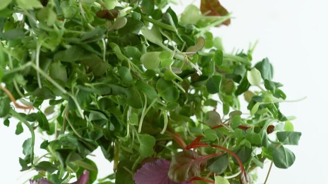 Salad flying in slow motion