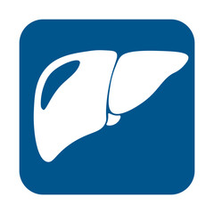 Liver icon in trendy flat style. Symbol for your web site design, logo, app, UI