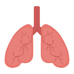 Lung human icon, respiratory system healthy lungs anatomy flat medical organ icon