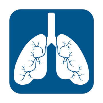 recommend clip art: Lung human icon, respiratory system healthy lungs anatomy flat medical organ icon