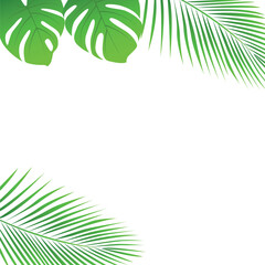 Fototapeta na wymiar tropical palm leaves border summer holiday design isolated vector illustration EPS10