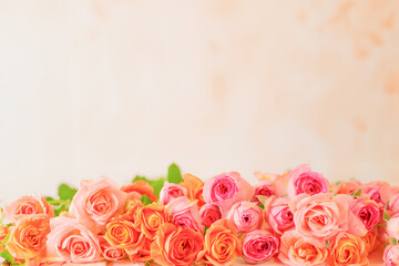 カラフルな薔薇の花のフレーム