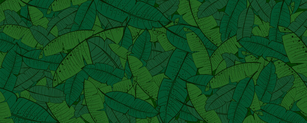 Seamless pattern with banana leaves. Vector illustration for your design