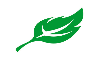 icon leaf vector illustration logo