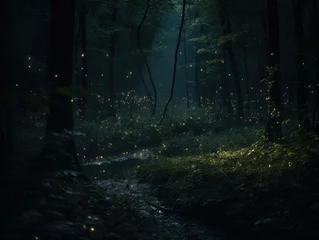 Photo sur Plexiglas Matin avec brouillard Fireflies in the summer forest, fireflies, romantic fireflies, fireflies close-up, summer travel, fireflies in nature