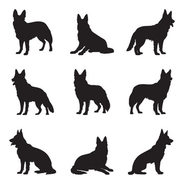 German Shepherd silhouette set - isolated vector images of wild animals